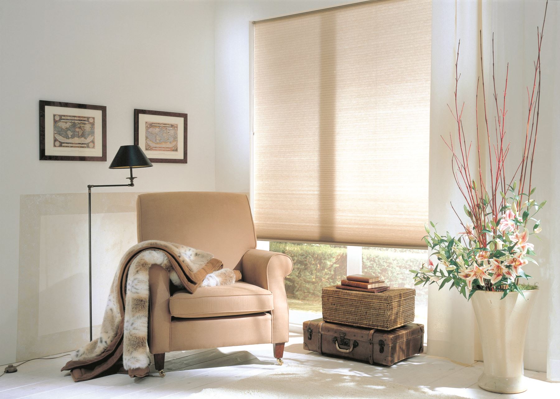 Cellular Blinds Adelaide Burns for Blinds